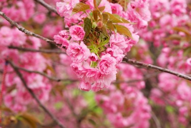 宁波江北区1线下个人借款平台一站式服务，轻松解决资金难题