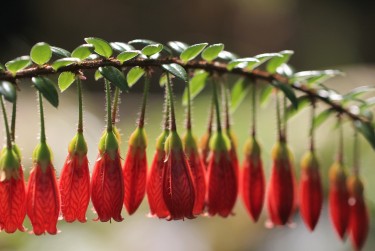 宁波江北区1零用贷短借：轻松解决临时资金需求