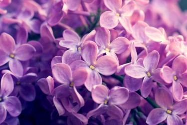 宁波江北区1企业急用钱贷款攻略：快速融资解燃眉之急